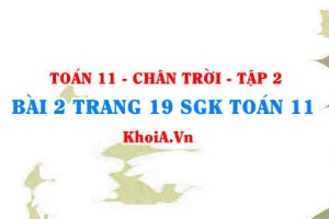 Bài 2 trang 19 Toán 11 Tập 2 Chân trời sáng tạo